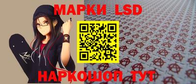 винт Донецк