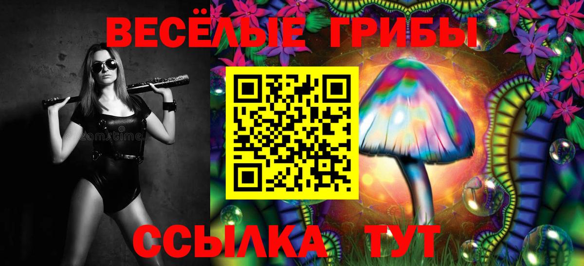 Псилоцибиновые грибы Cubensis  продажа наркотиков  Вход с VPN  Медногорск  Галлюциногенные грибы GOLDEN TEACHER 